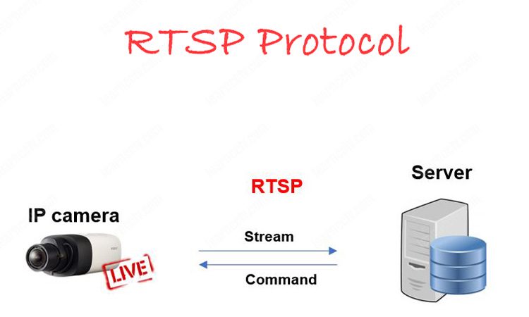 Как определить RTSP-поток для IP-камеры?