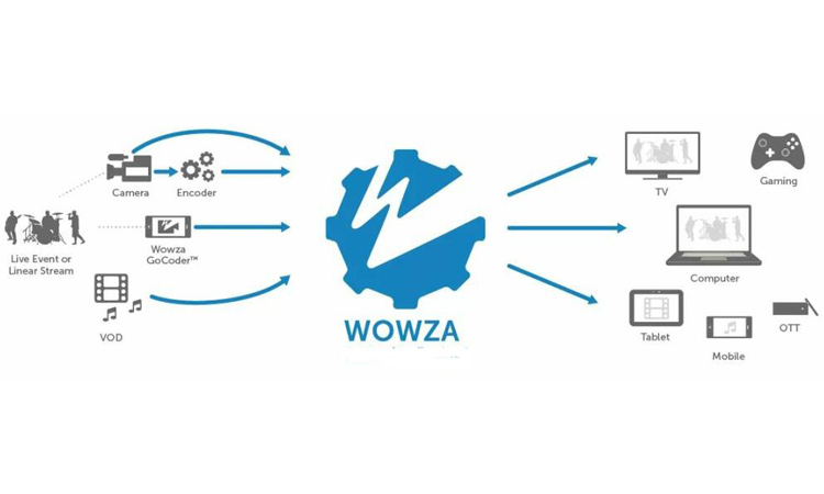 Трансляция видео с IP-камеры на свой сайт с помощью сервера Wowza
